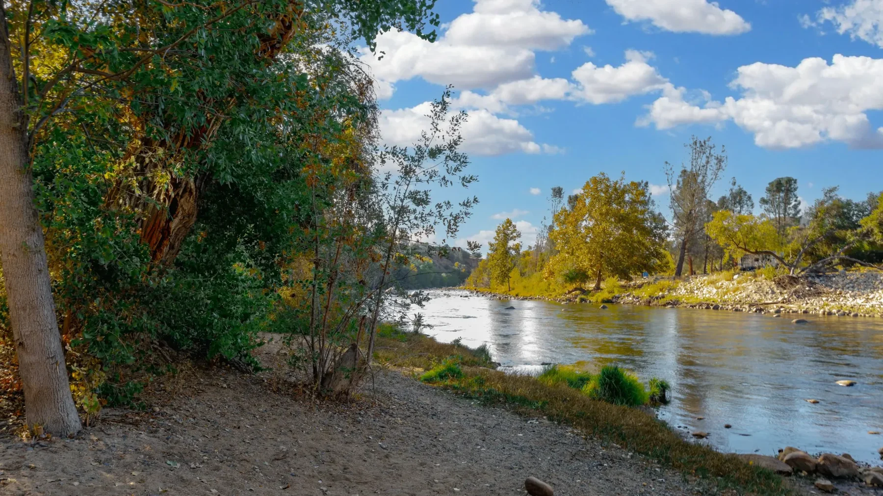 A peaceful bend in the river