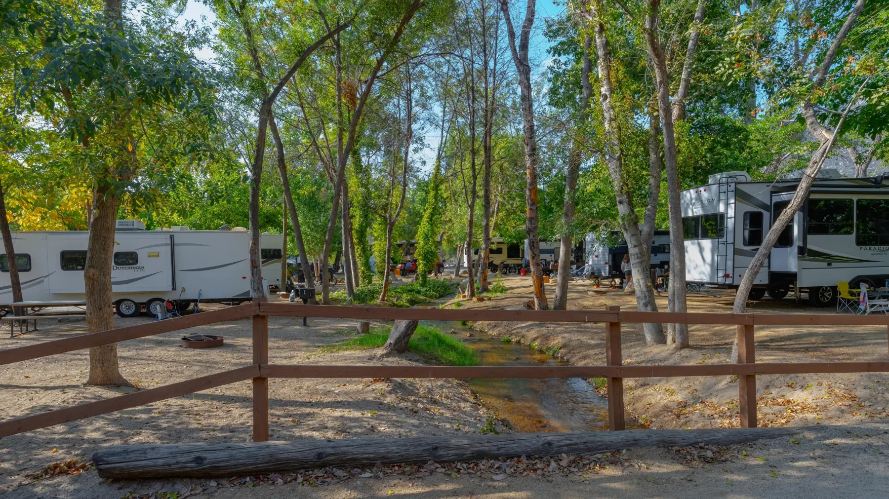 Shaded camping among the trees