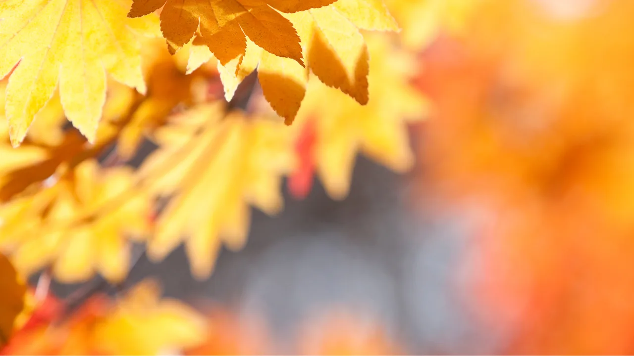 Why Fall Camping Is Pure Magic—And Why KRS Is the Perfect Basecamp — photo 2
