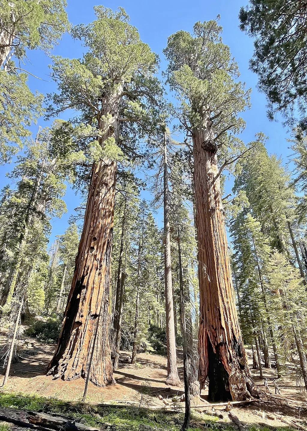 Kernville Bucket List: Top Things to Do When You Stay at KRS RV Resort — photo 4