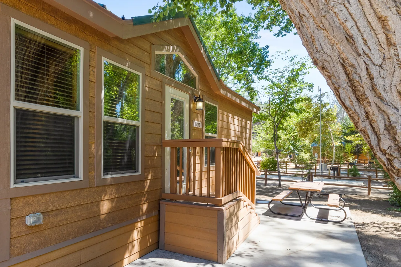 cozy and comfortable cabins