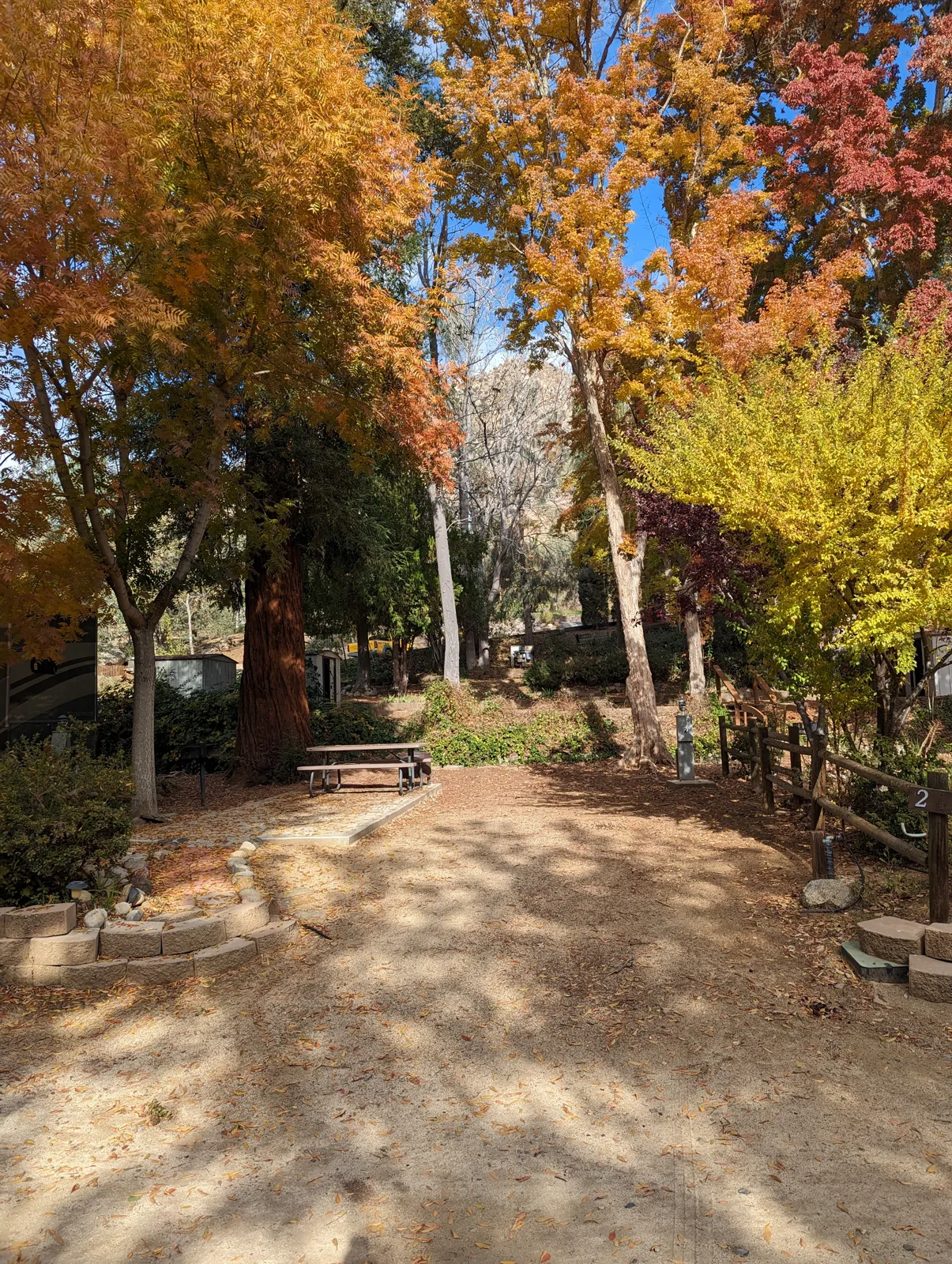 Site 2
