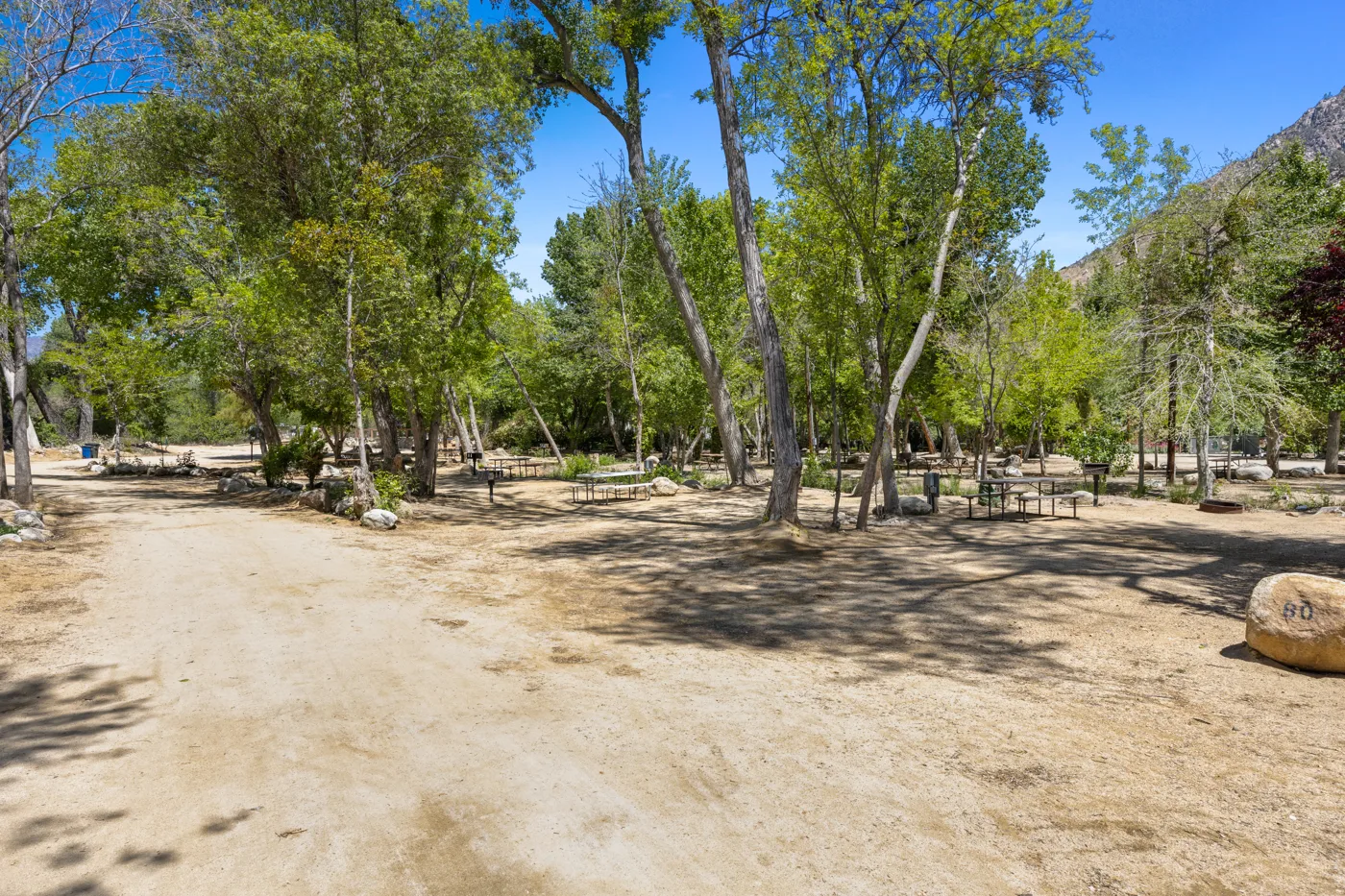 71-Illuminate Photography - 13801 Sierra Way -71